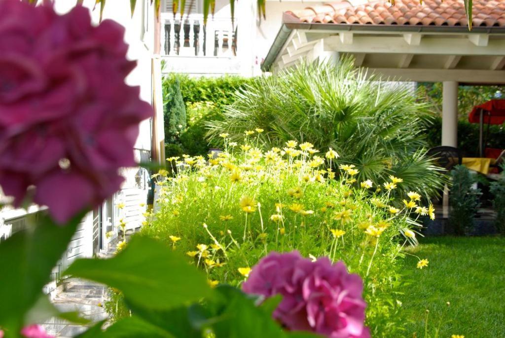 Apartments Bella Vita 2 Malinska Zewnętrze zdjęcie